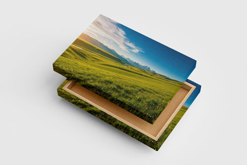 nature and countryside views in daylight, view, art, kanvas tablo
