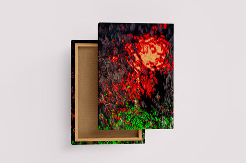 an abstract photo of bright red and green lights reflecting on dark, rippling water, abstract, art, kanvas tablo
