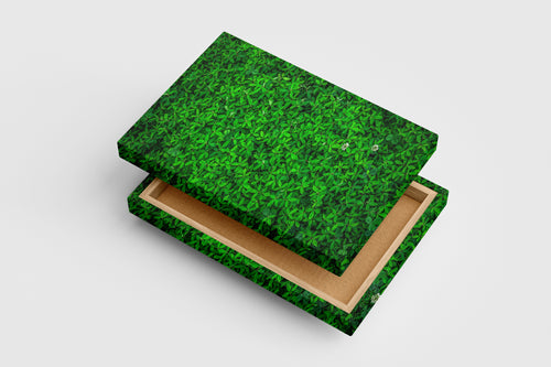 a top-down view of a dense carpet of vibrant green leaves and flowers, view, art, kanvas tablo