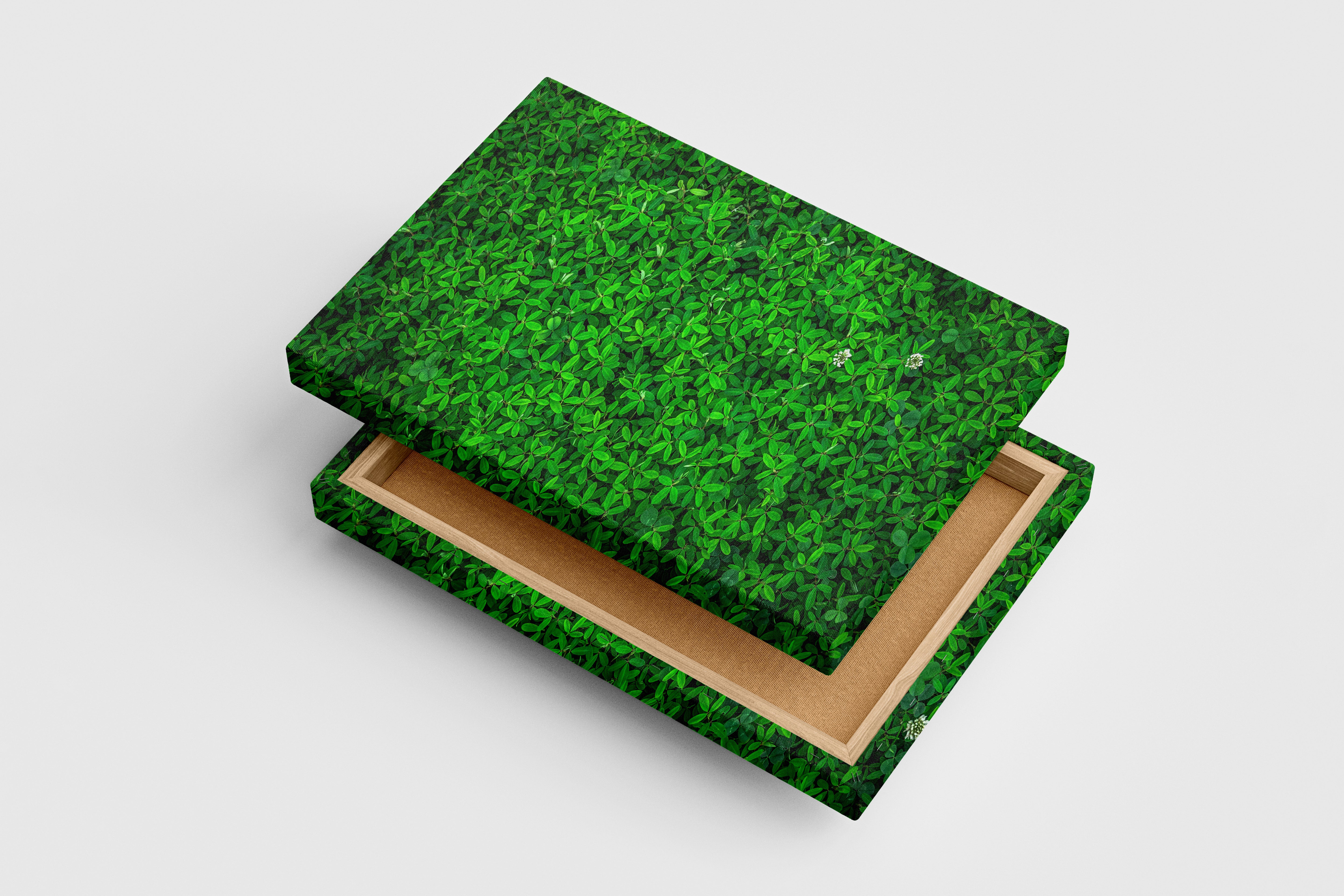 a top-down view of a dense carpet of vibrant green leaves and flowers, view, art, kanvas tablo