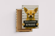 Sabıka Fotoğrafı Çekilen Sert Bakışlı Komik Chihuahua Köpek Mizahi Kanvas Tablo