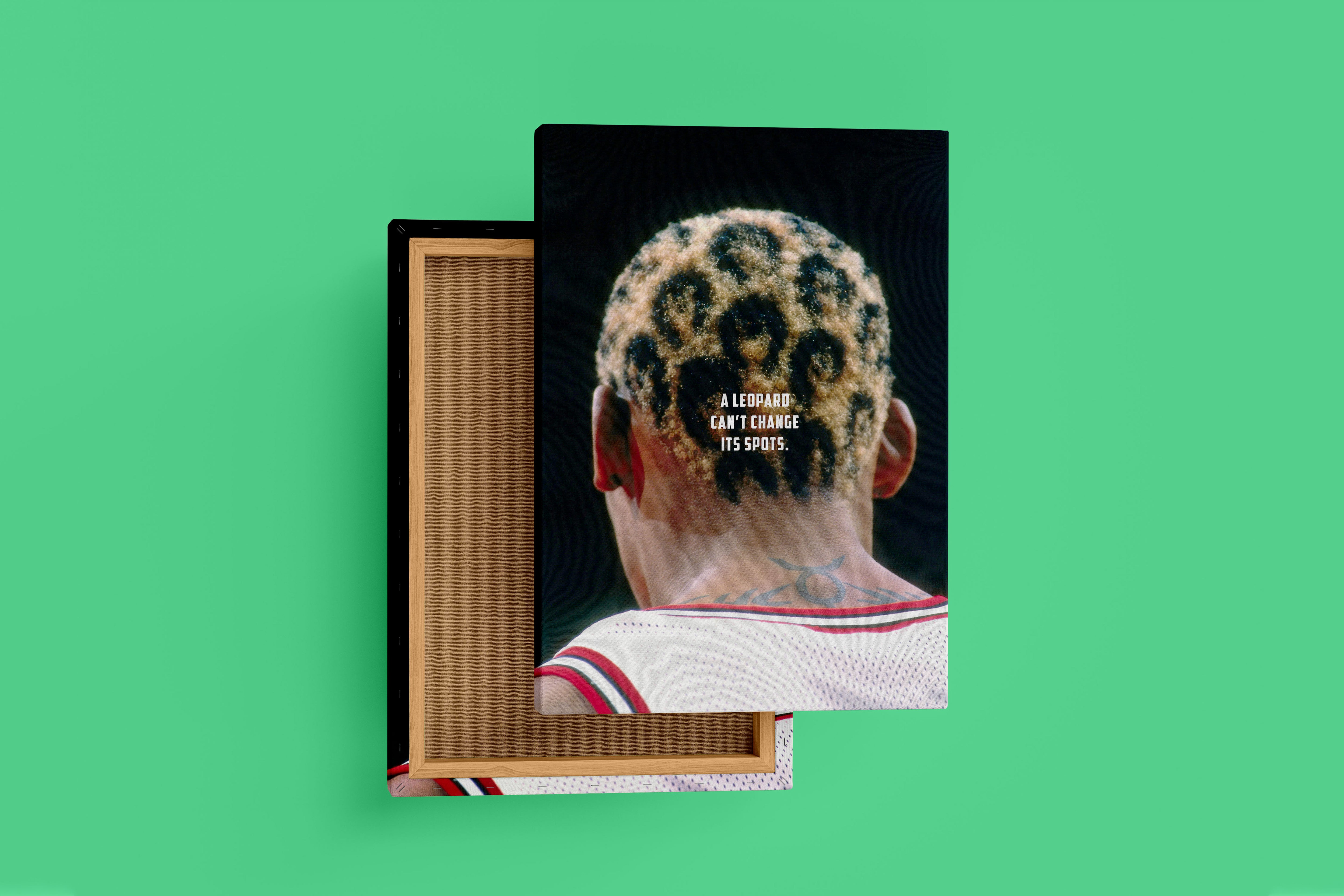 a leopard can't change its sport, dennis rodman, sport, kanvas tablo