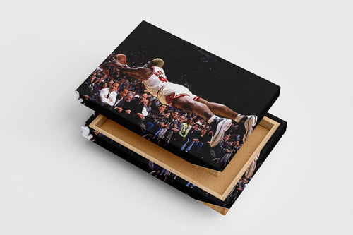 dennis rodman flying man, sport, kanvas tablo