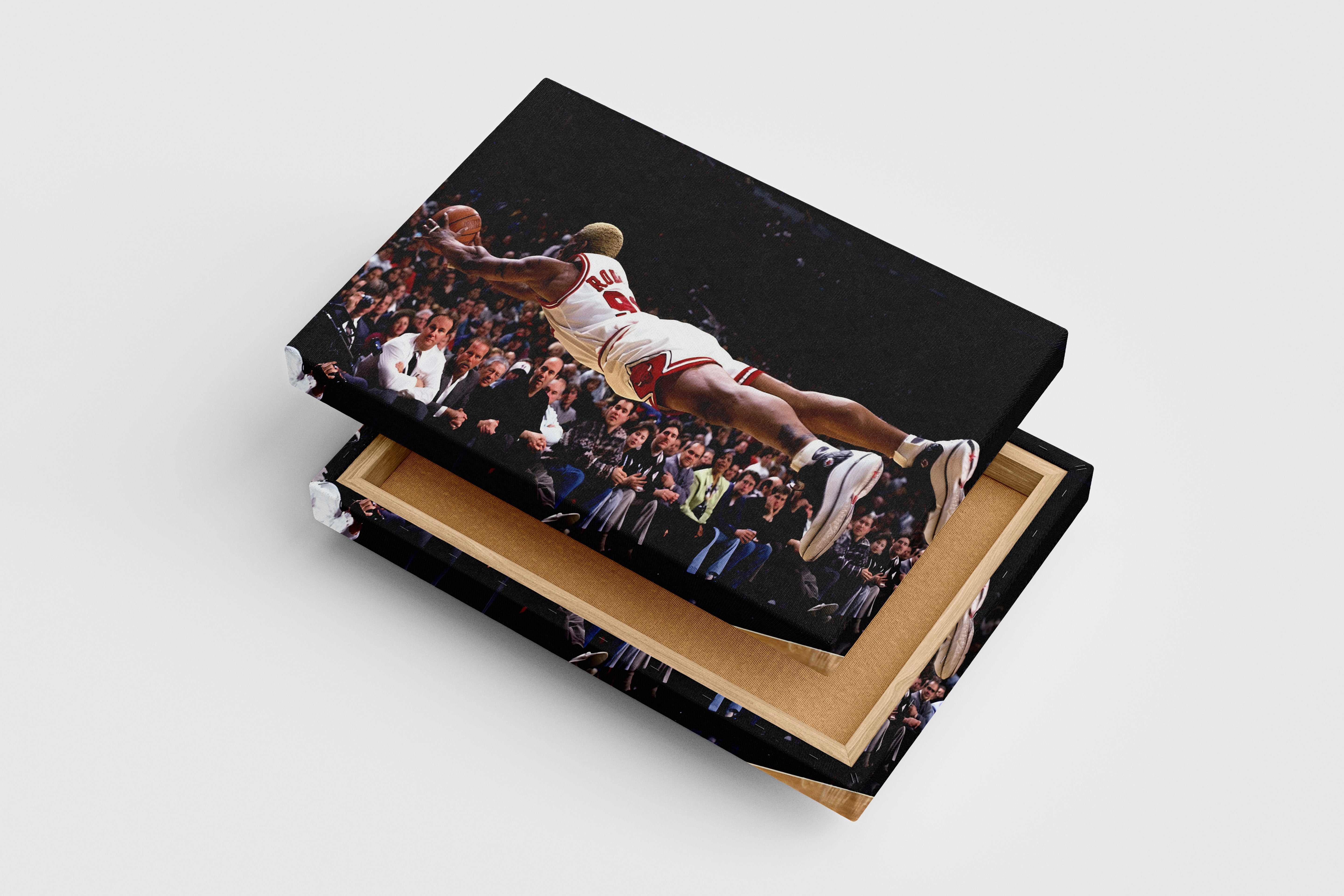 dennis rodman flying man, sport, kanvas tablo