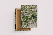 a macro photo of tiny white flowers, with one bunch in sharp focus, art, kanvas tablo