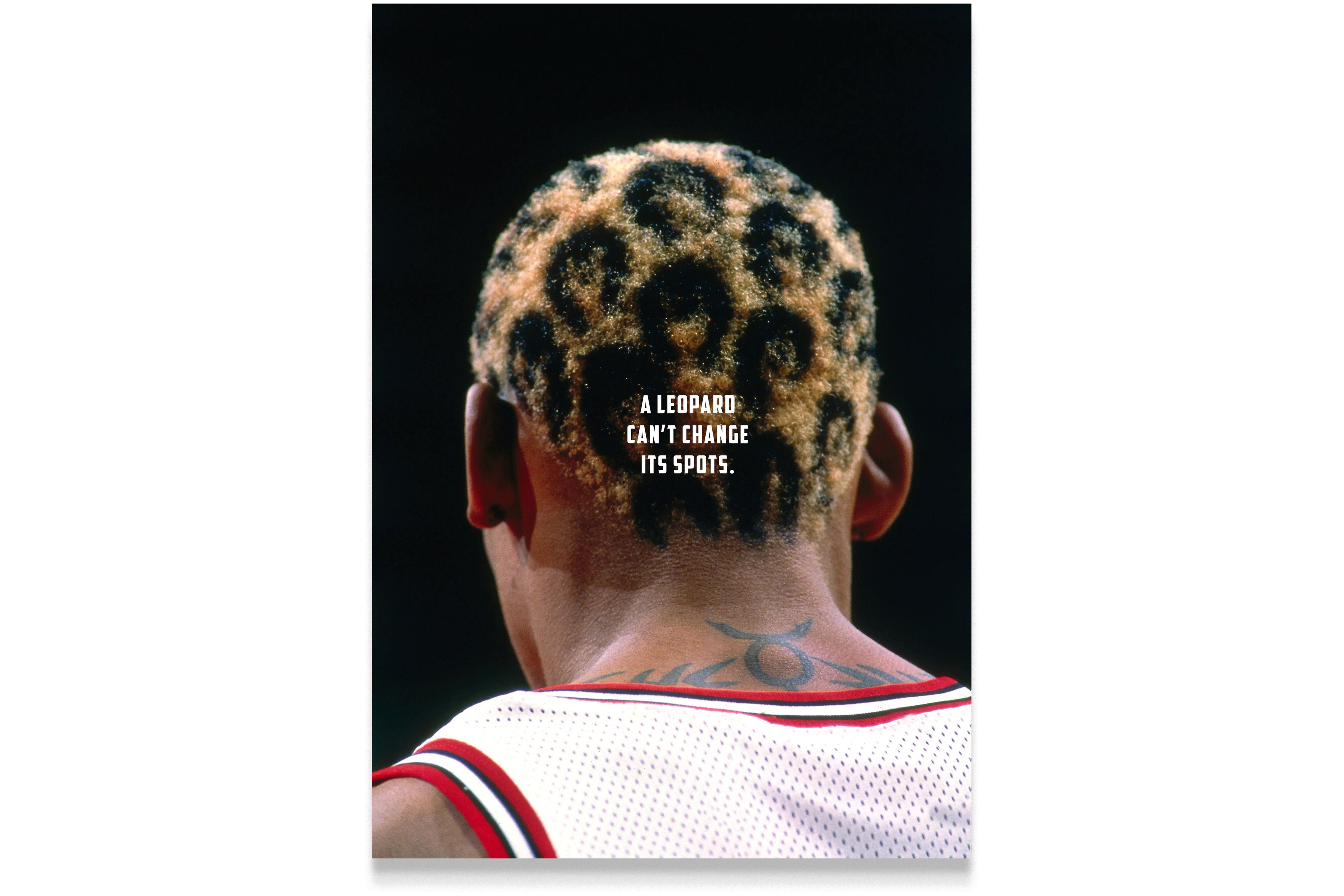 a leopard can't change its sport, dennis rodman, sport, kanvas tablo