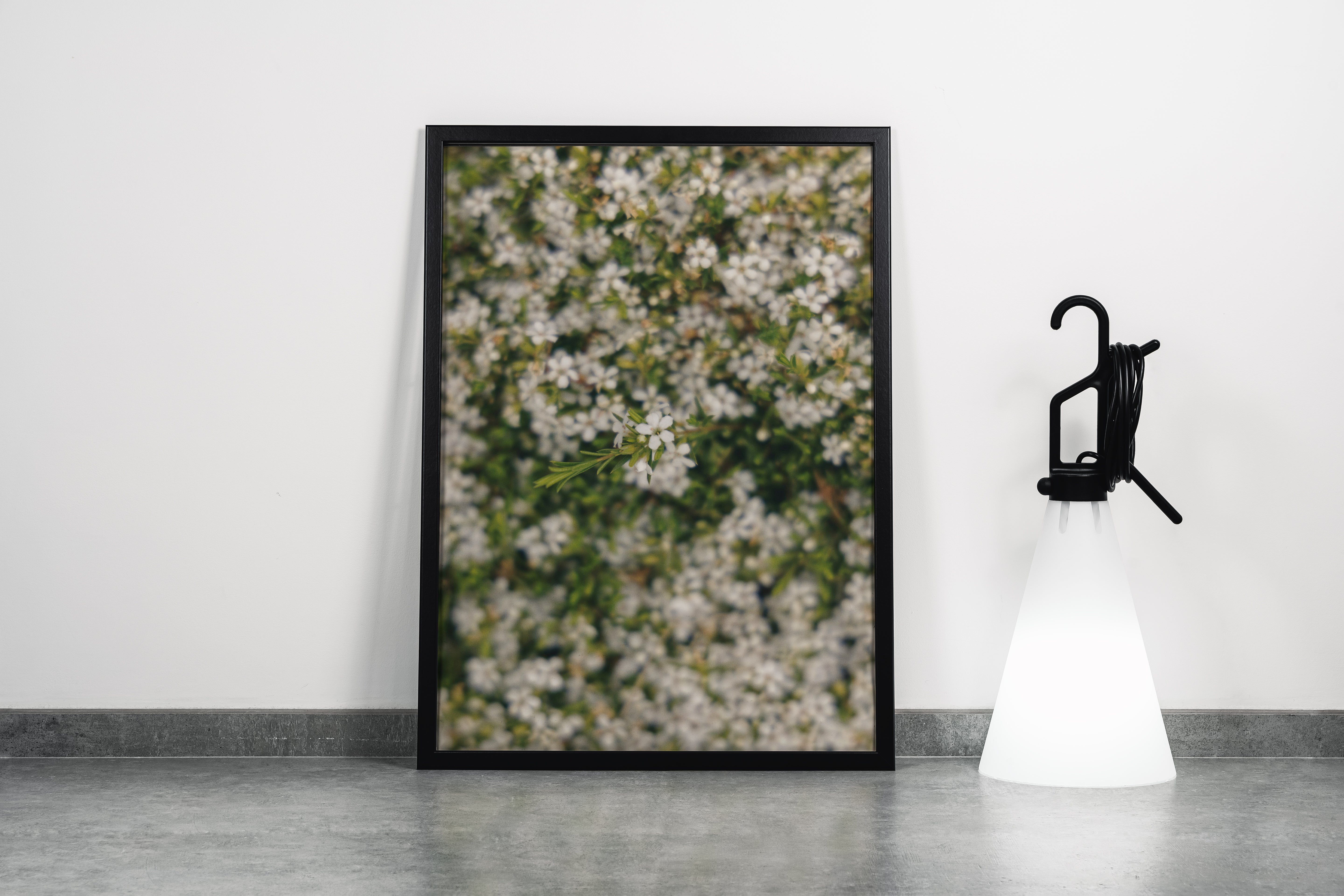 a macro photo of tiny white flowers, with one bunch in sharp focus, art, kanvas tablo