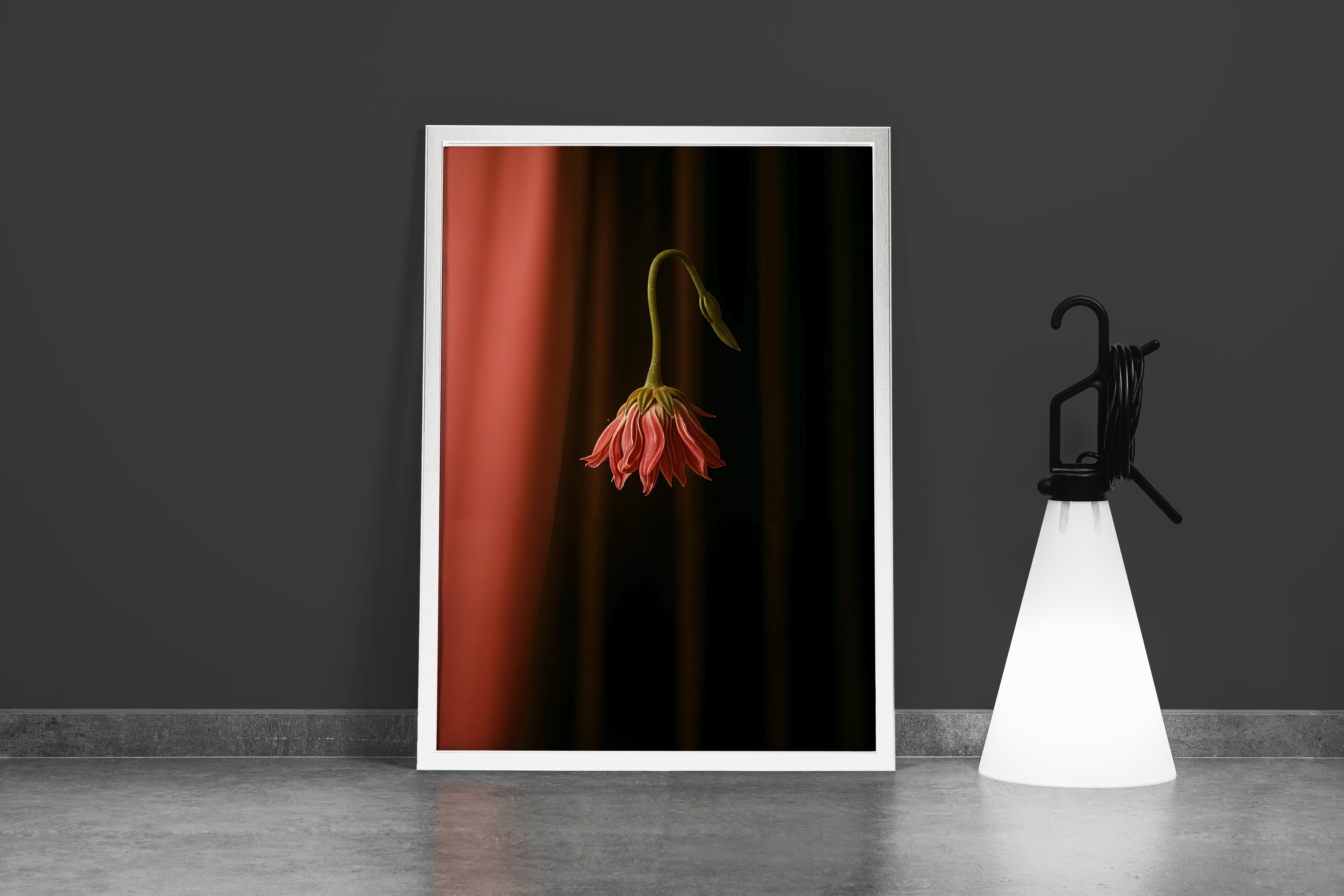 ai creation, flower motif, pale rose-colored carnation, ai art, art, kanvas tablo