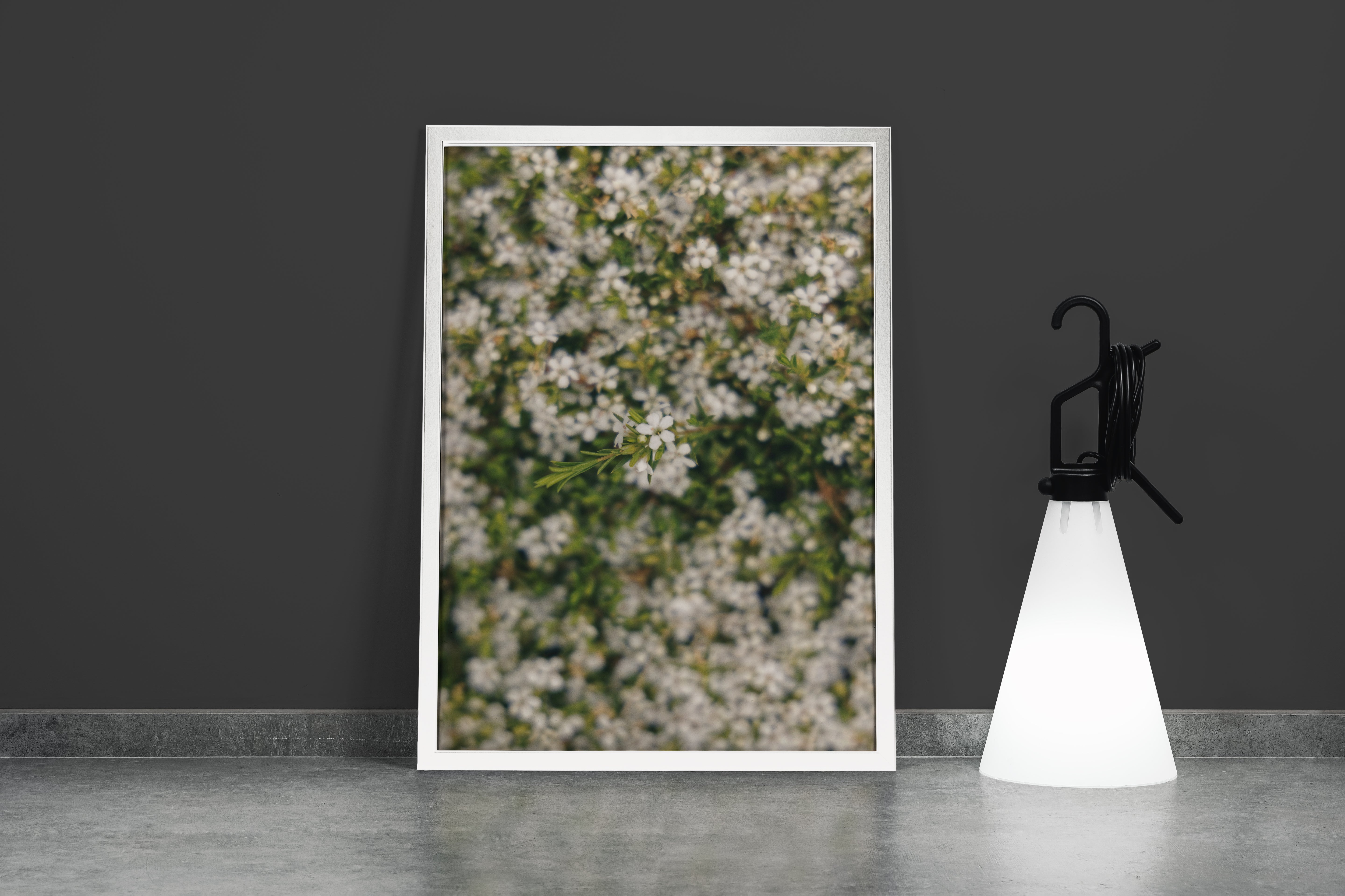 a macro photo of tiny white flowers, with one bunch in sharp focus, art, kanvas tablo