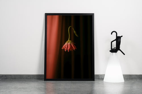 ai creation, flower motif, pale rose-colored carnation, ai art, art, kanvas tablo