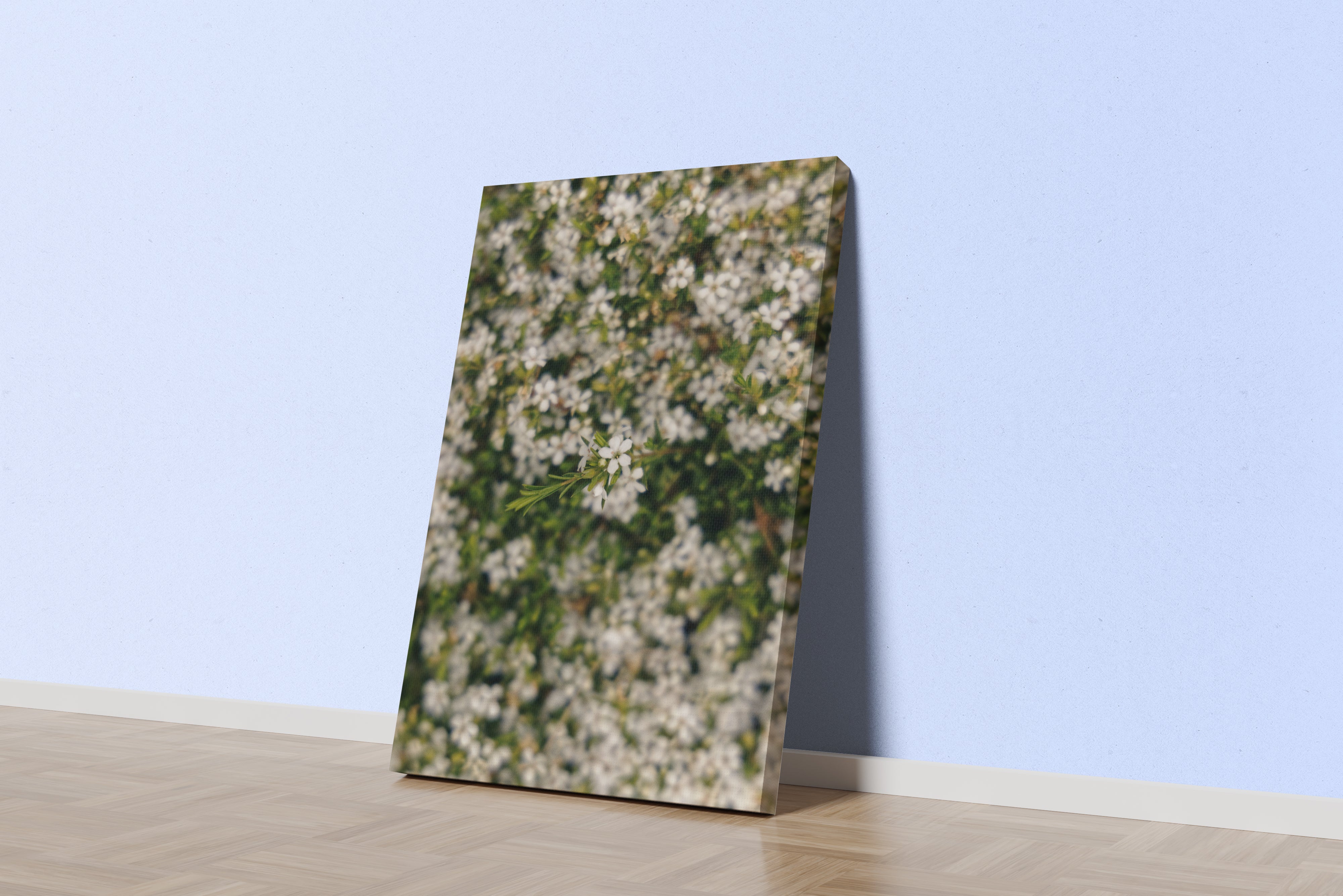 a macro photo of tiny white flowers, with one bunch in sharp focus, art, kanvas tablo