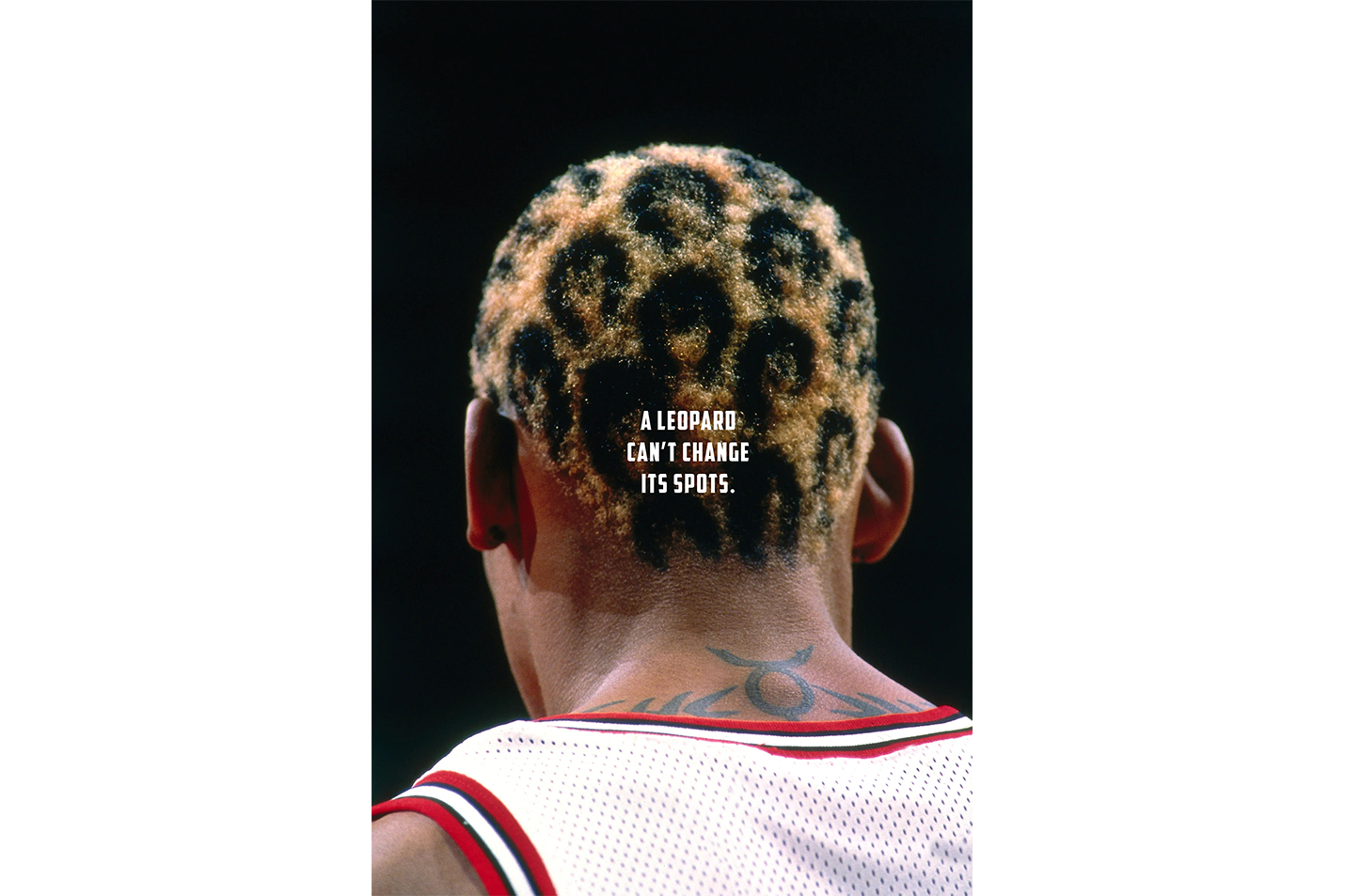 a leopard can't change its sport, dennis rodman, sport, kanvas tablo