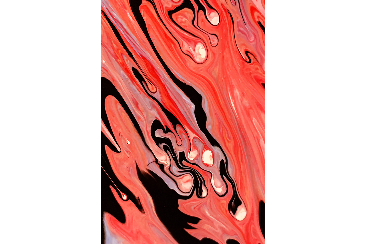 a mesmerizing close-up of red, white, and black fluid art creating organic patterns, abstract, art, kanvas tablo