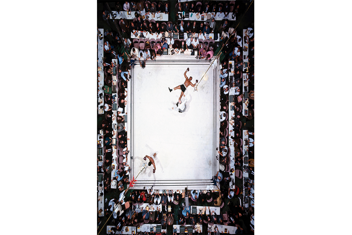 Muhammad Ali, the moment, art, kanvas tablo