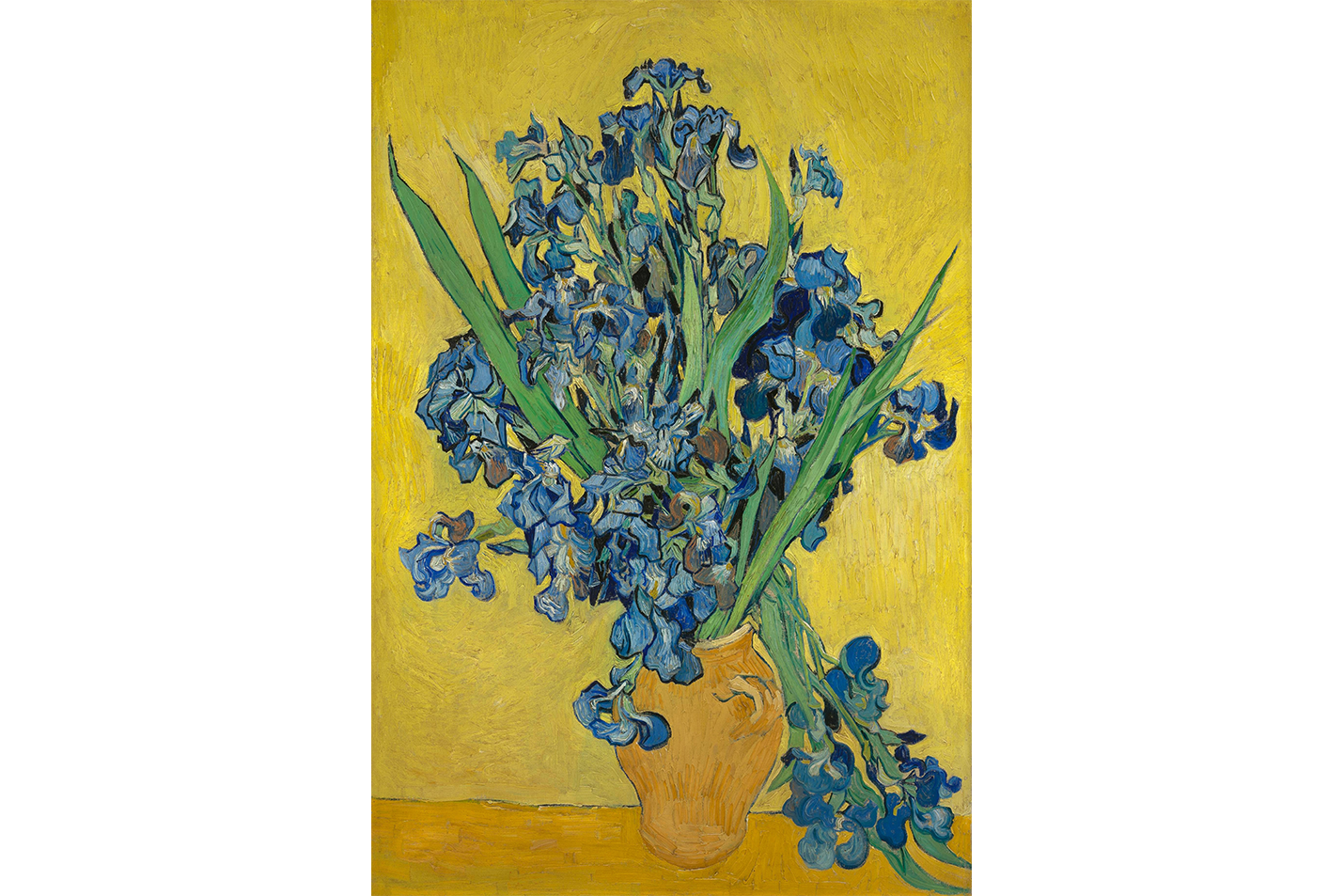 Vincent van Gogh İrisler Natürmort Kanvas Tablo