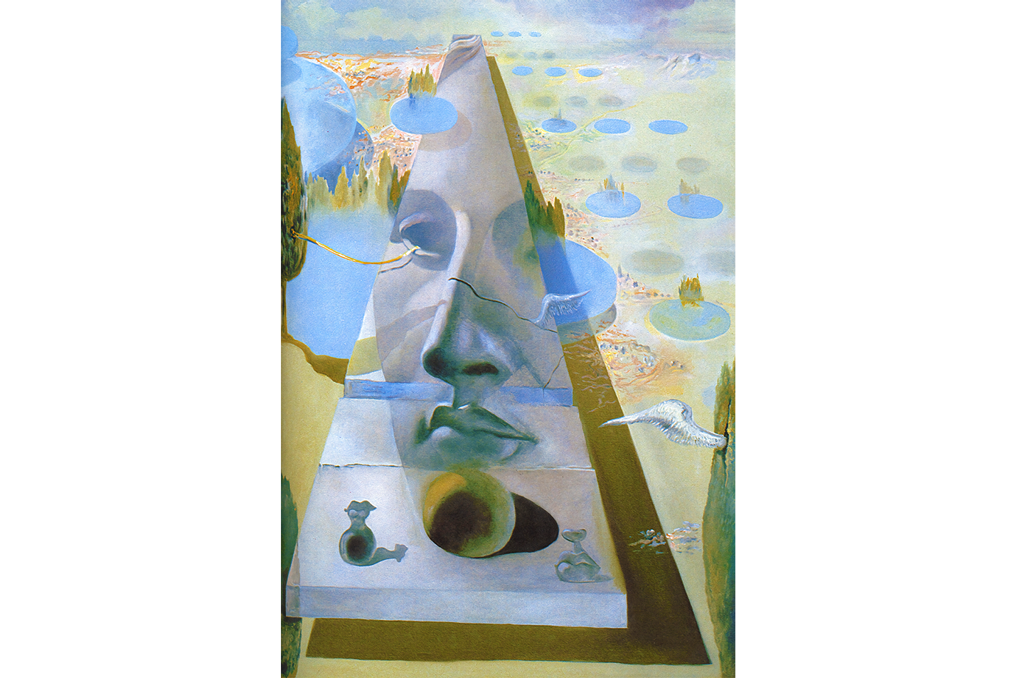 Salvador Dali Meditasyonlu Yüz Sürrealist Sanat Kanvas Tablo