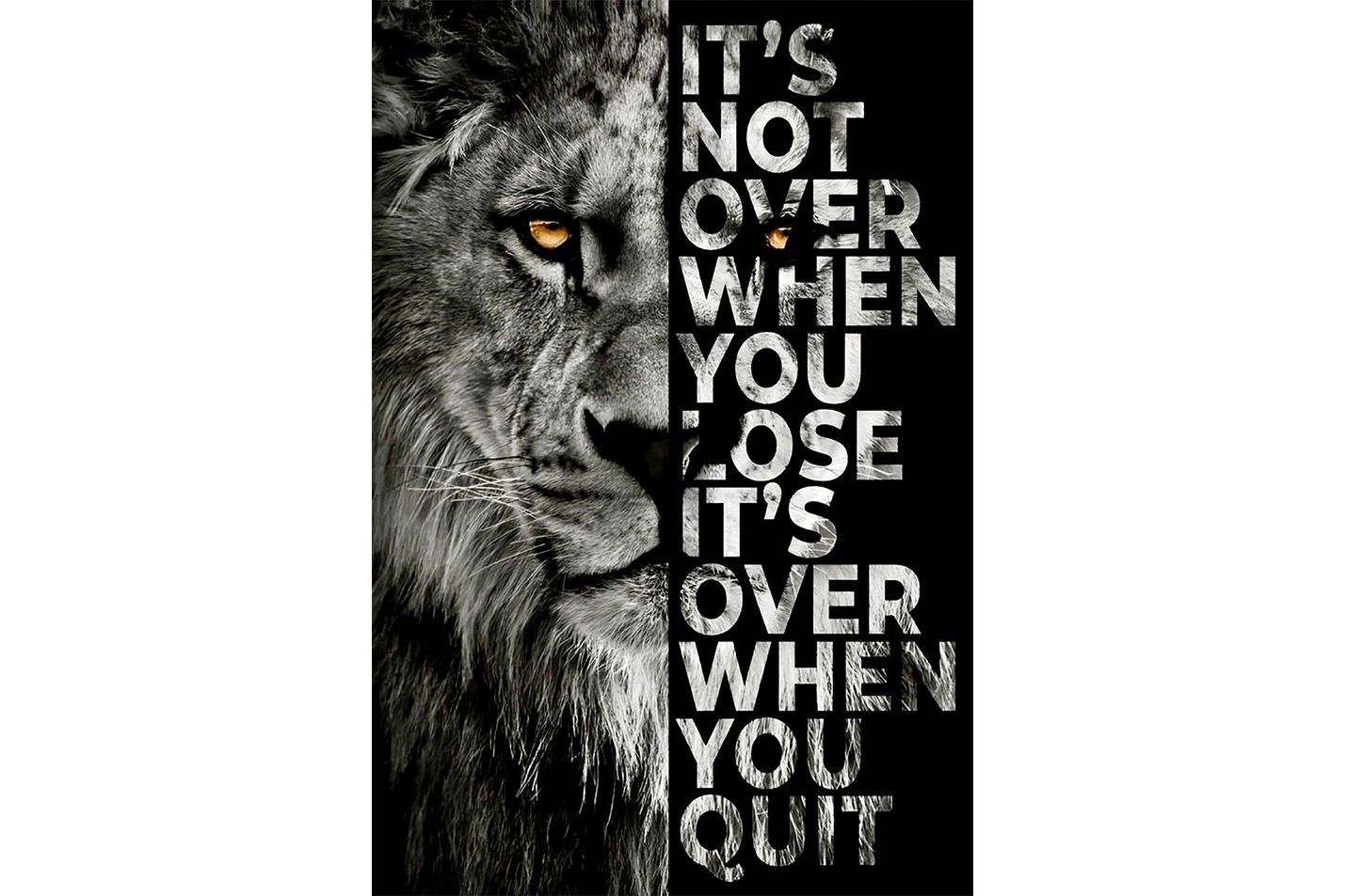 a lion's face split with the motivational quote, art, kanvas tablo