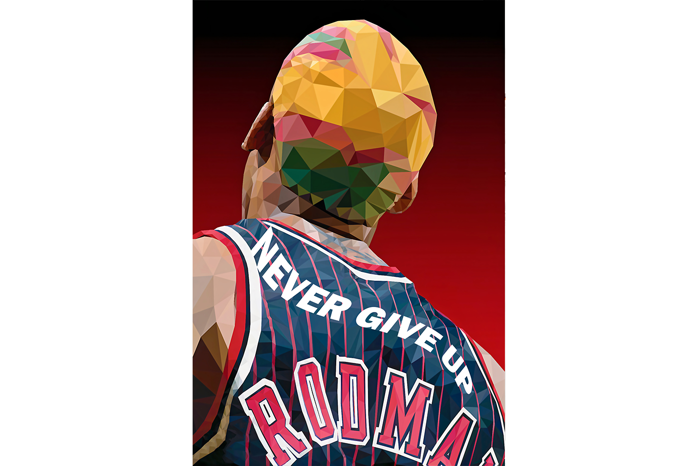 never give up, dennis rodman, sport, kanvas tablo
