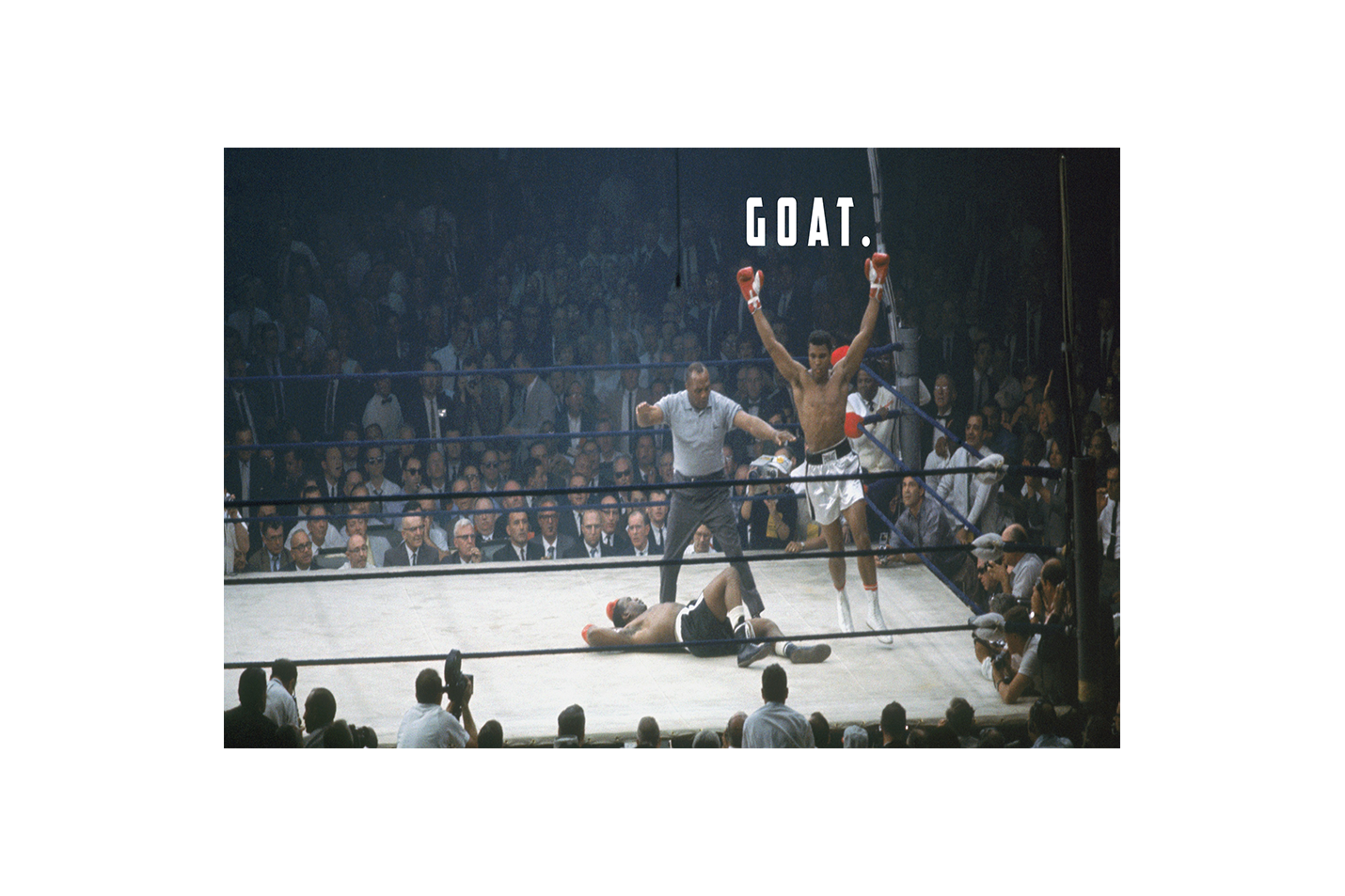 Muhammad Ali, goat, quote, art, kanvas tablo