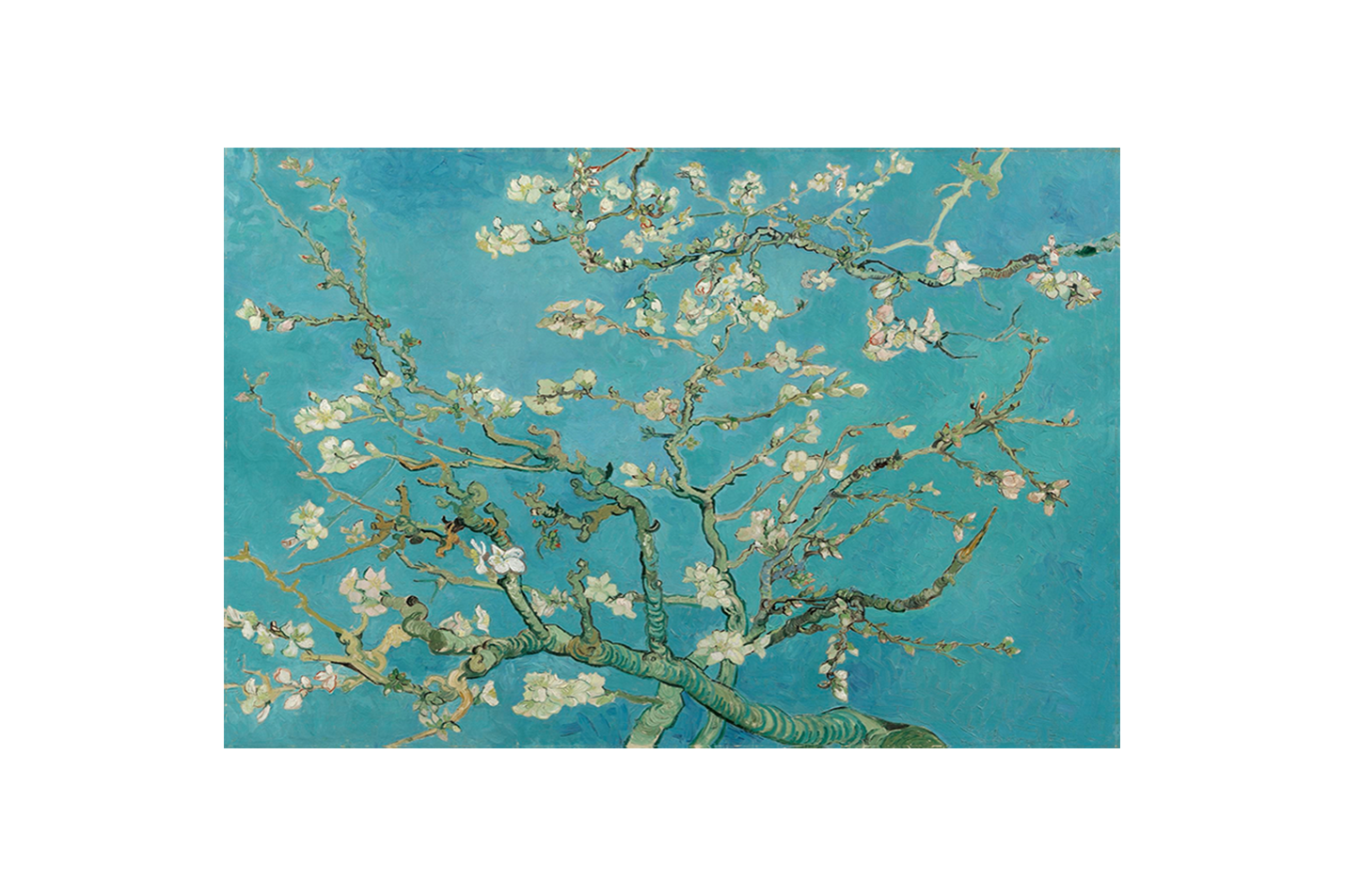 Van Gogh'un Efsanevi Eseri Badem Çiçekleri Kanvas Tablo