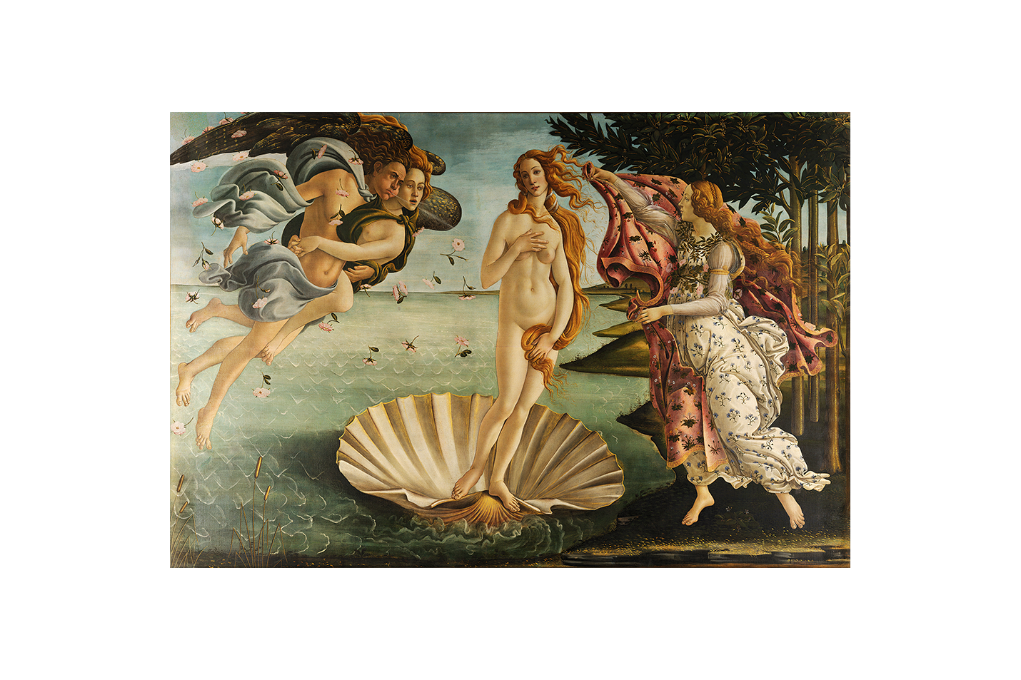 Sandro Botticelli'nin İkonik Başyapıtı Venüs'ün Doğuşu Rönesans Kanvas Tablo