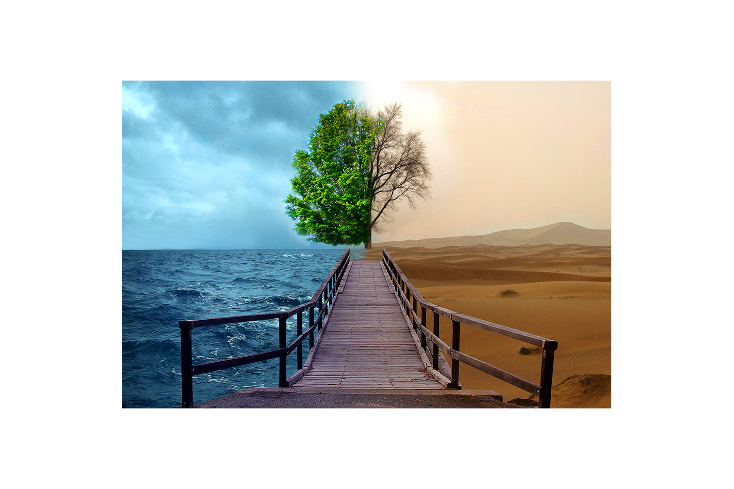 a pier to a split tree, one side lush ocean, one side barren desert, view, art, kanvas tablo