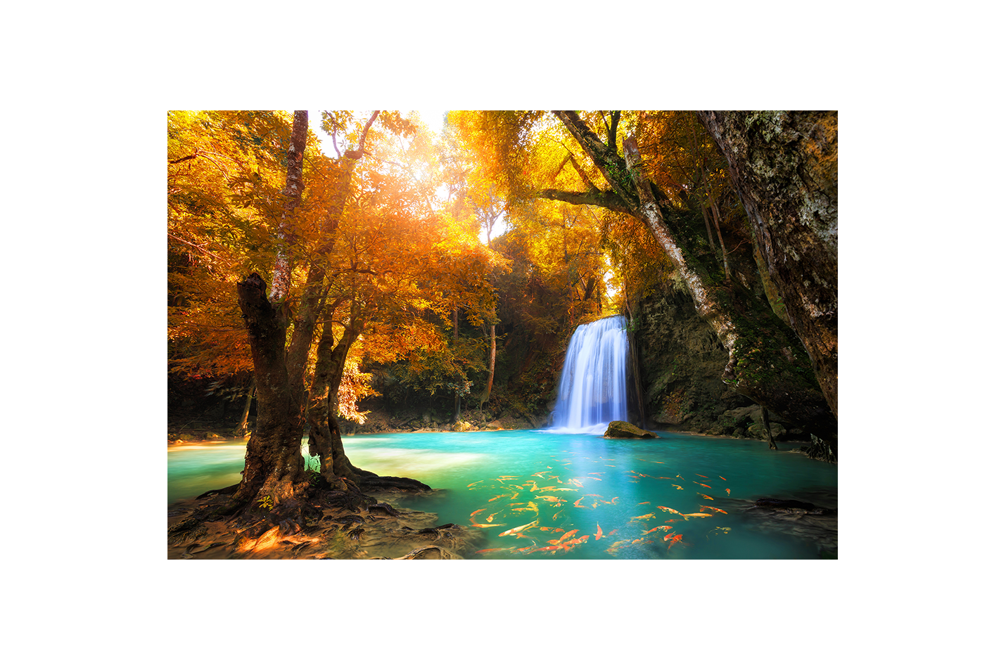 a magical waterfall in a golden autumn forest with fish in turquoise water, view, art, kanvas tablo