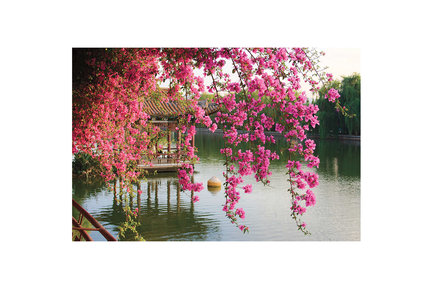 a peaceful lakeside pagoda seen through a curtain of hanging pink flowers, view, art, kanvas tablo