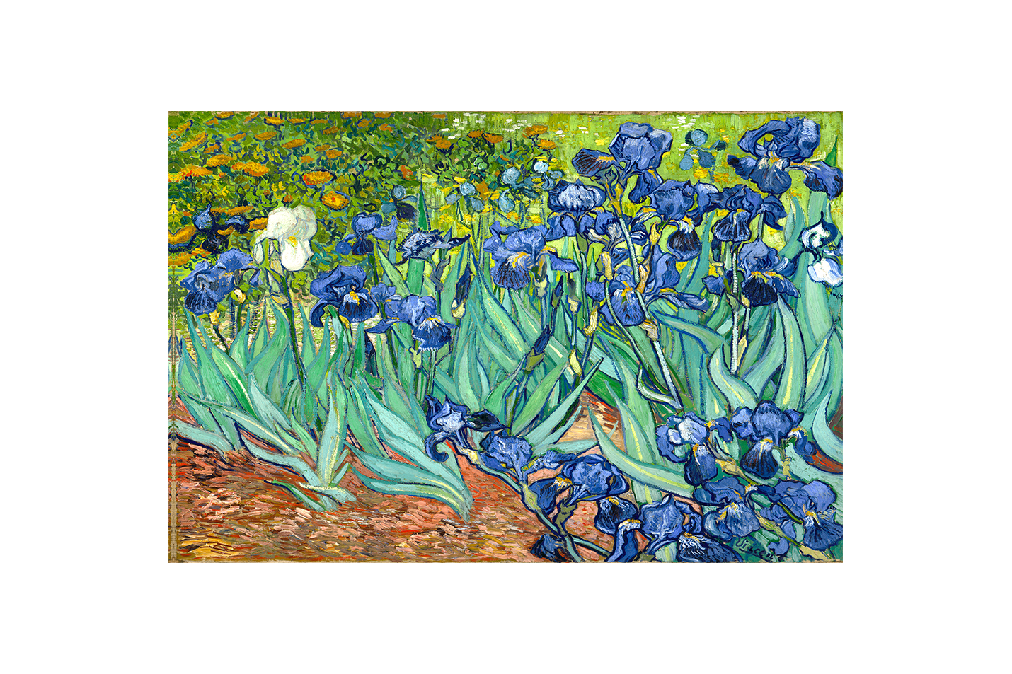 Vincent Van Gogh Süsenler Tablosu | Post-Empresyonist Sanat Eseri Kanvas Tablo