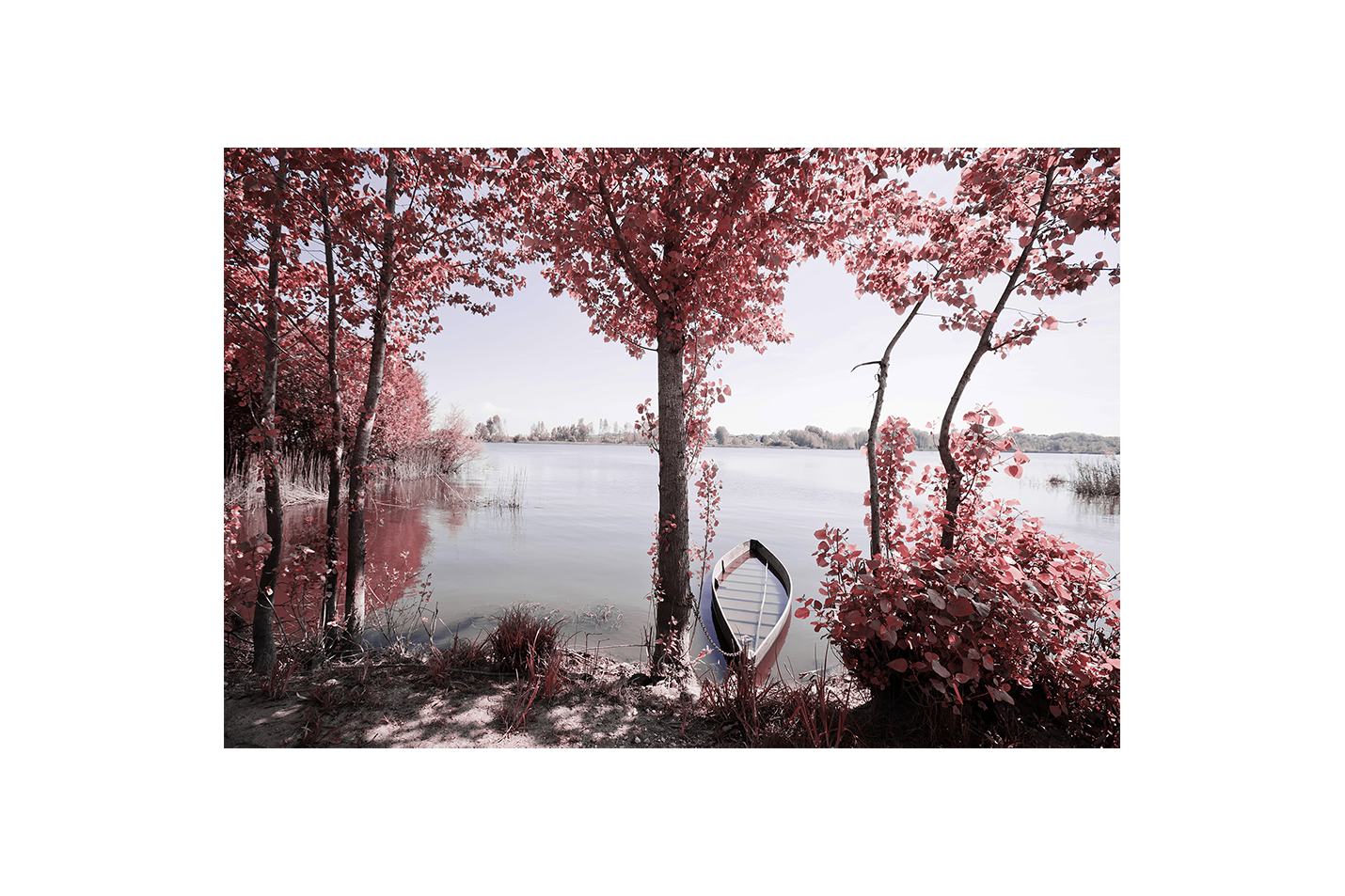 a serene and surreal lake with pink-leafed trees and a small boat, view, art, kanvas tablo