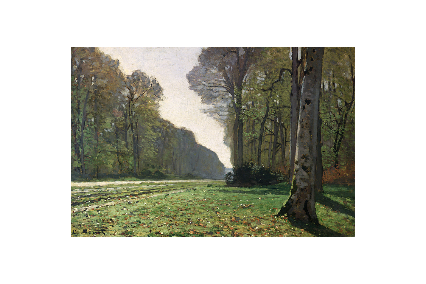 Claude Monet'nin Erken Dönem Başyapıtı Bodmer Meşesi, Fontainebleau Ormanı Realist Kanvas Tablo