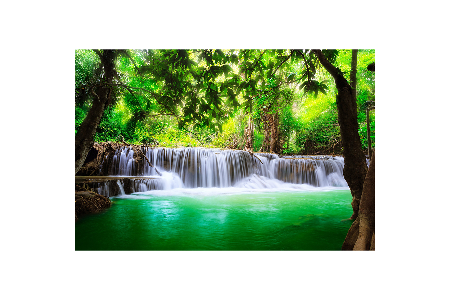 a silky, cascading waterfall in a lush jungle with an emerald green pool, view, art, kanvas tablo