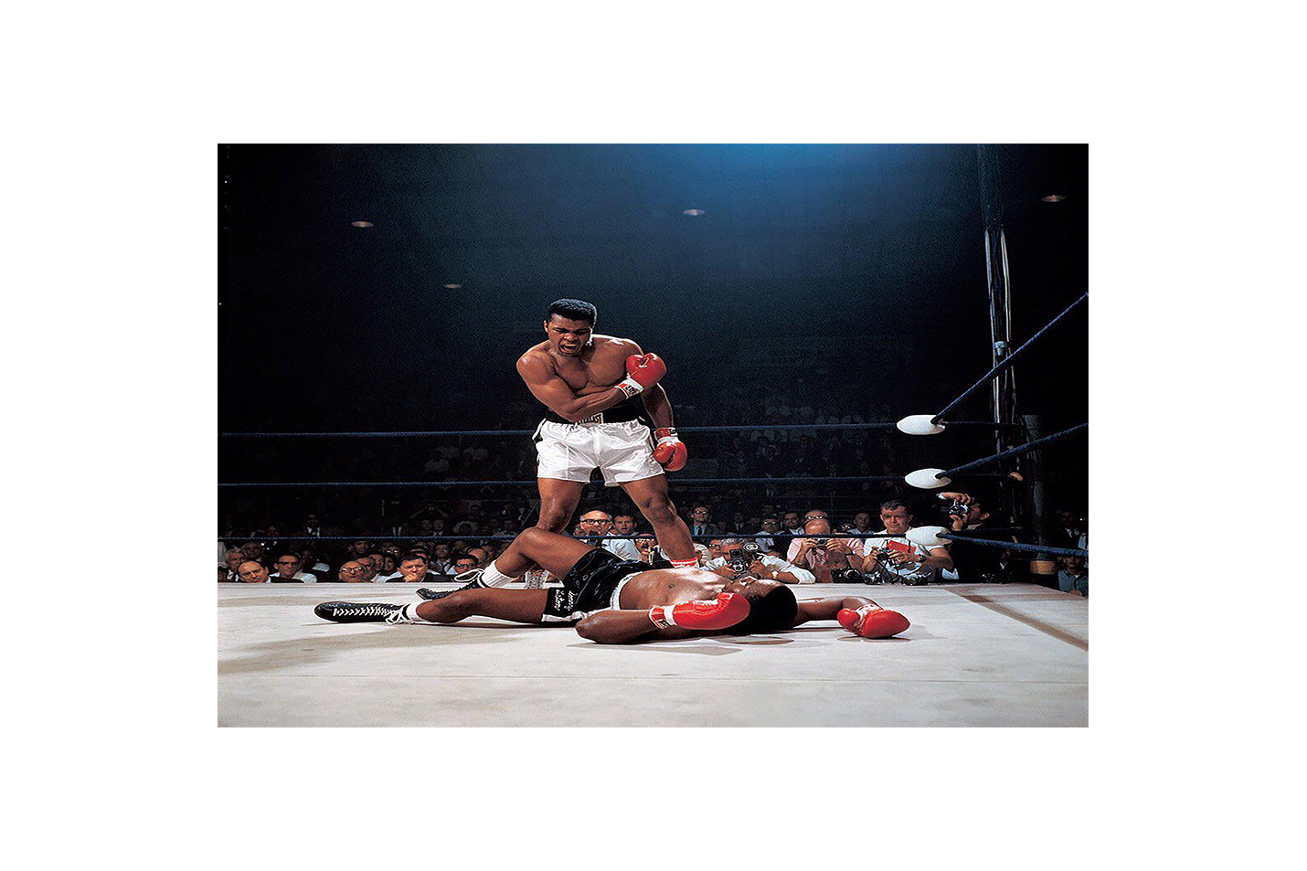 Muhammad Ali, goat, sport, art, kanvas tablo