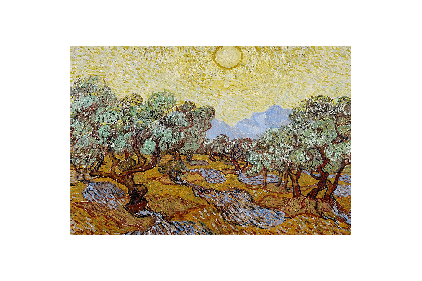 Vincent van Gogh'un Saint-Rémy Başyapıtı Sarı Gökyüzü ve Güneşli Zeytin Ağaçları Kanvas Tablo