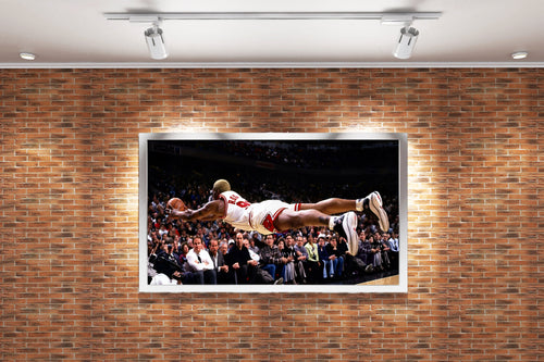 dennis rodman flying man, sport, kanvas tablo