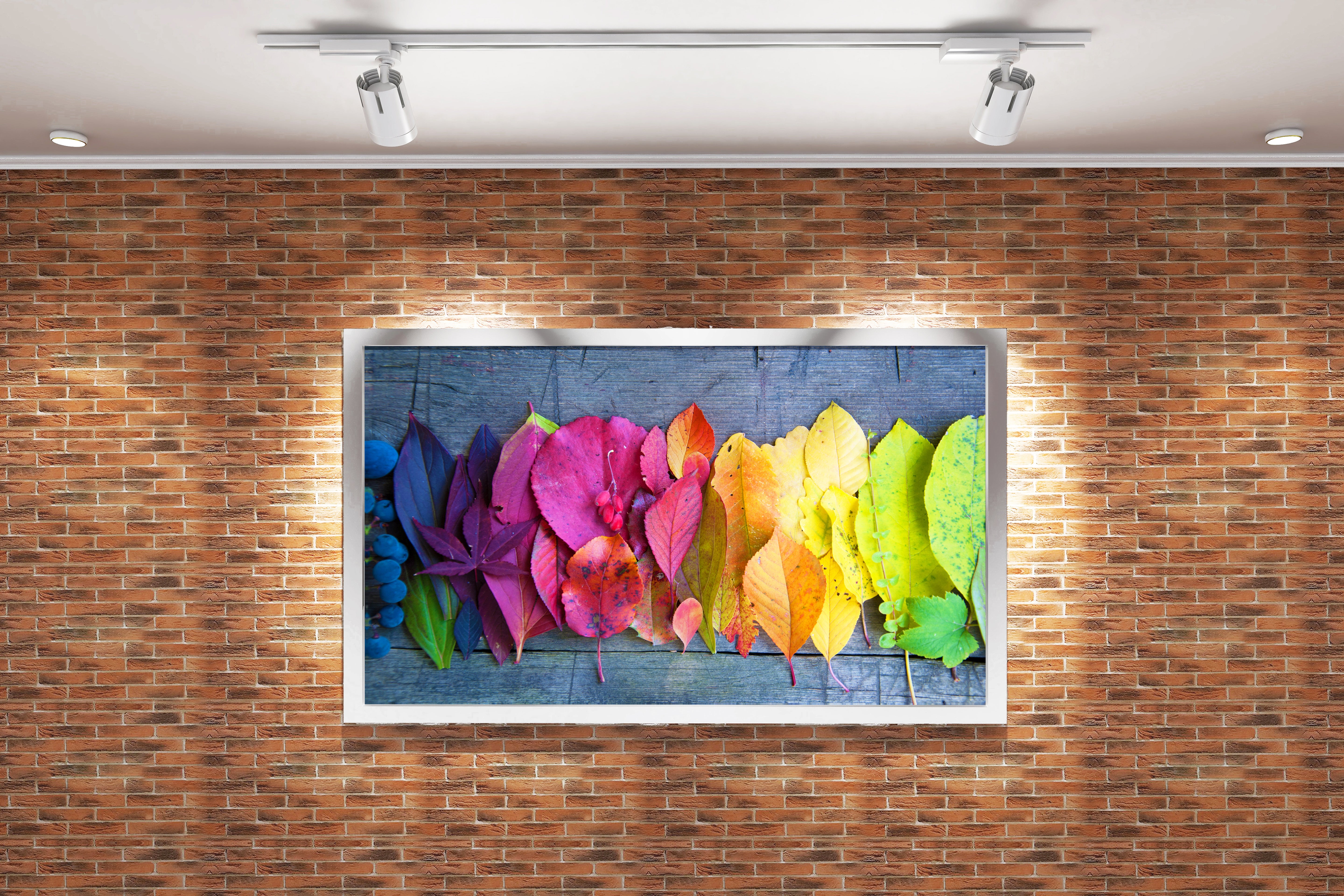 a beautiful rainbow gradient of colorful autumn leaves on a rustic wooden background, art, kanvas tablo