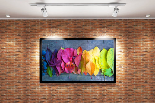 a beautiful rainbow gradient of colorful autumn leaves on a rustic wooden background, art, kanvas tablo