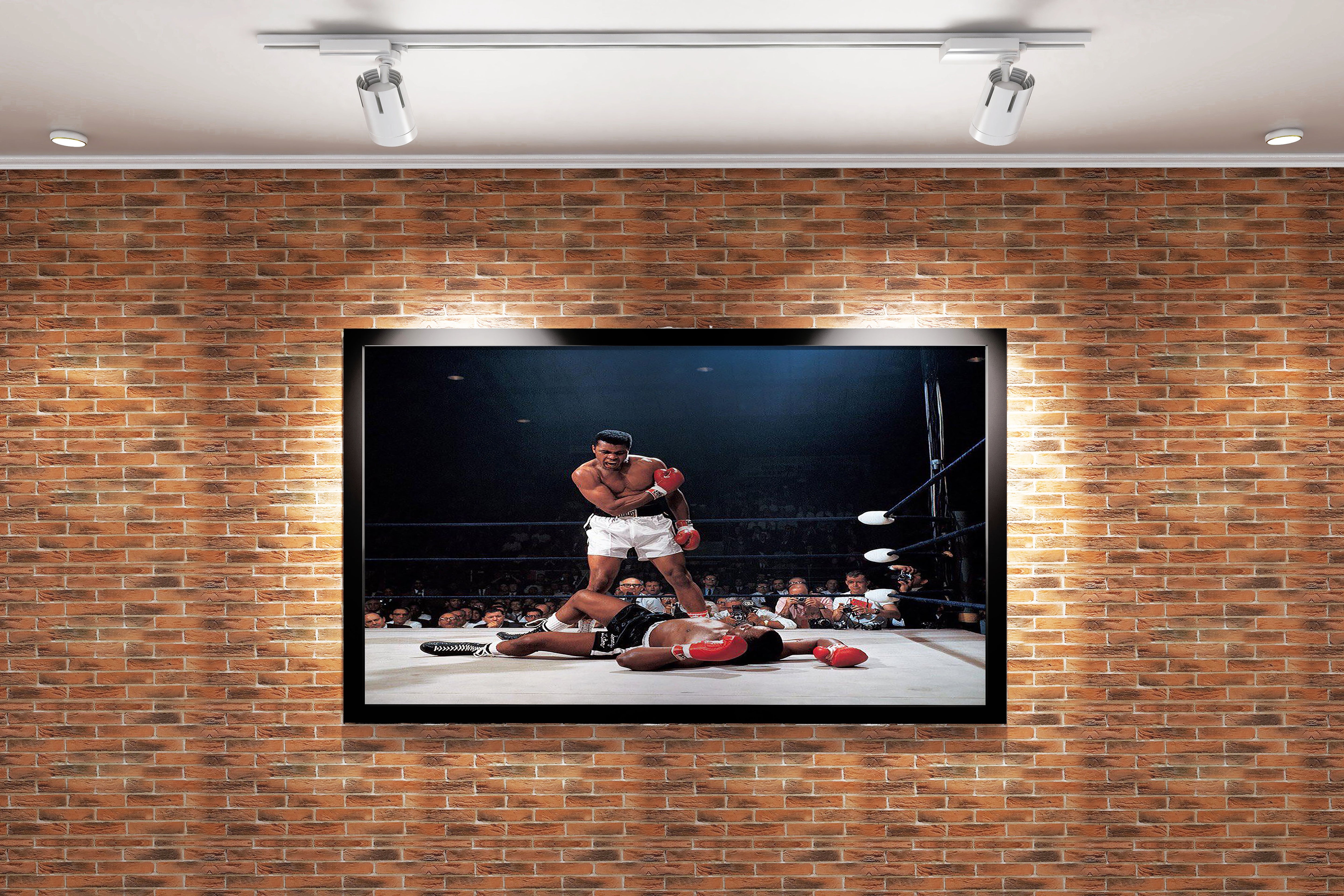 Muhammad Ali, goat, sport, art, kanvas tablo