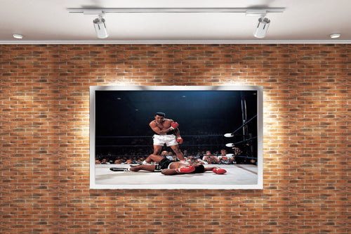 Muhammad Ali, goat, sport, art, kanvas tablo
