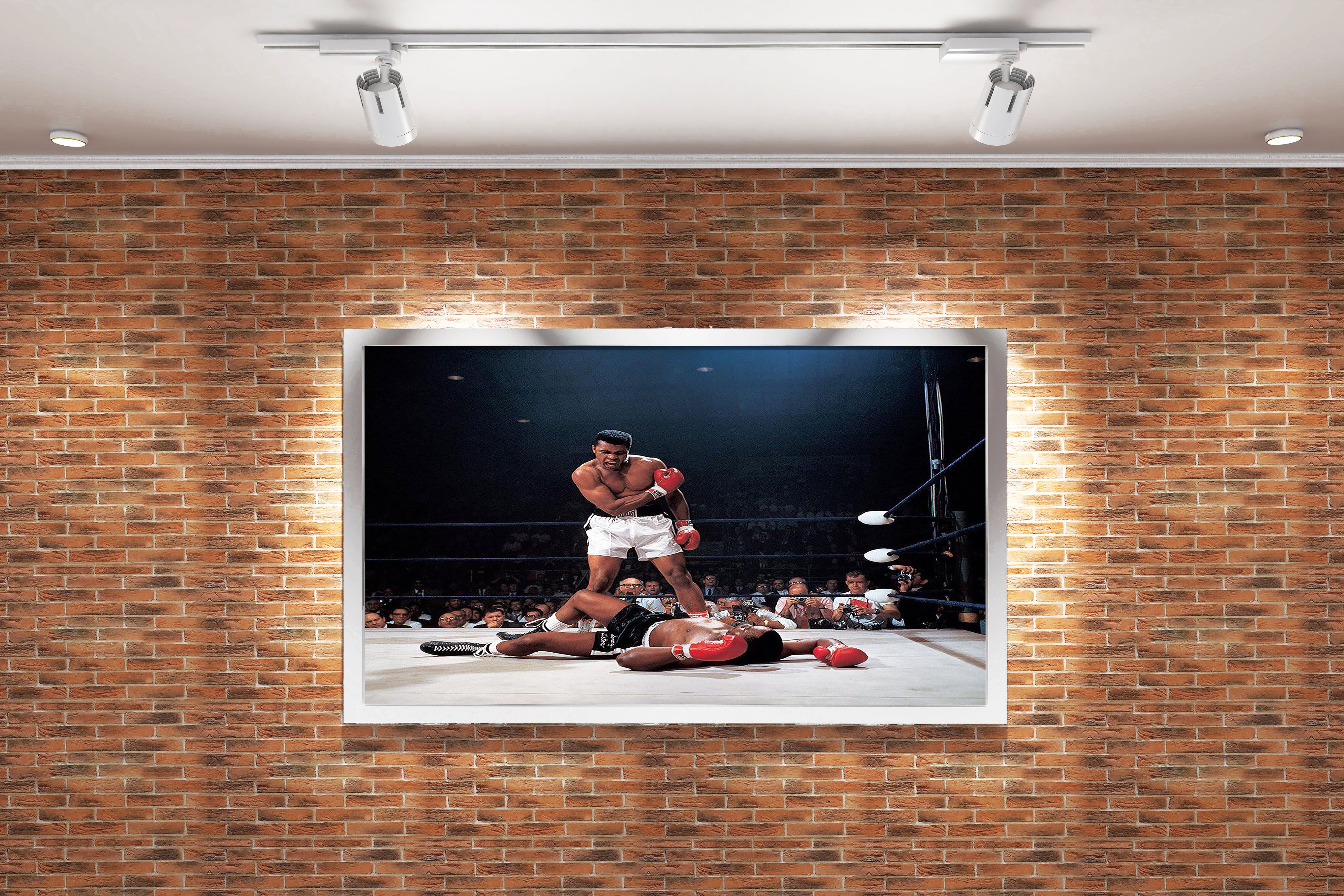 Muhammad Ali, goat, sport, art, kanvas tablo