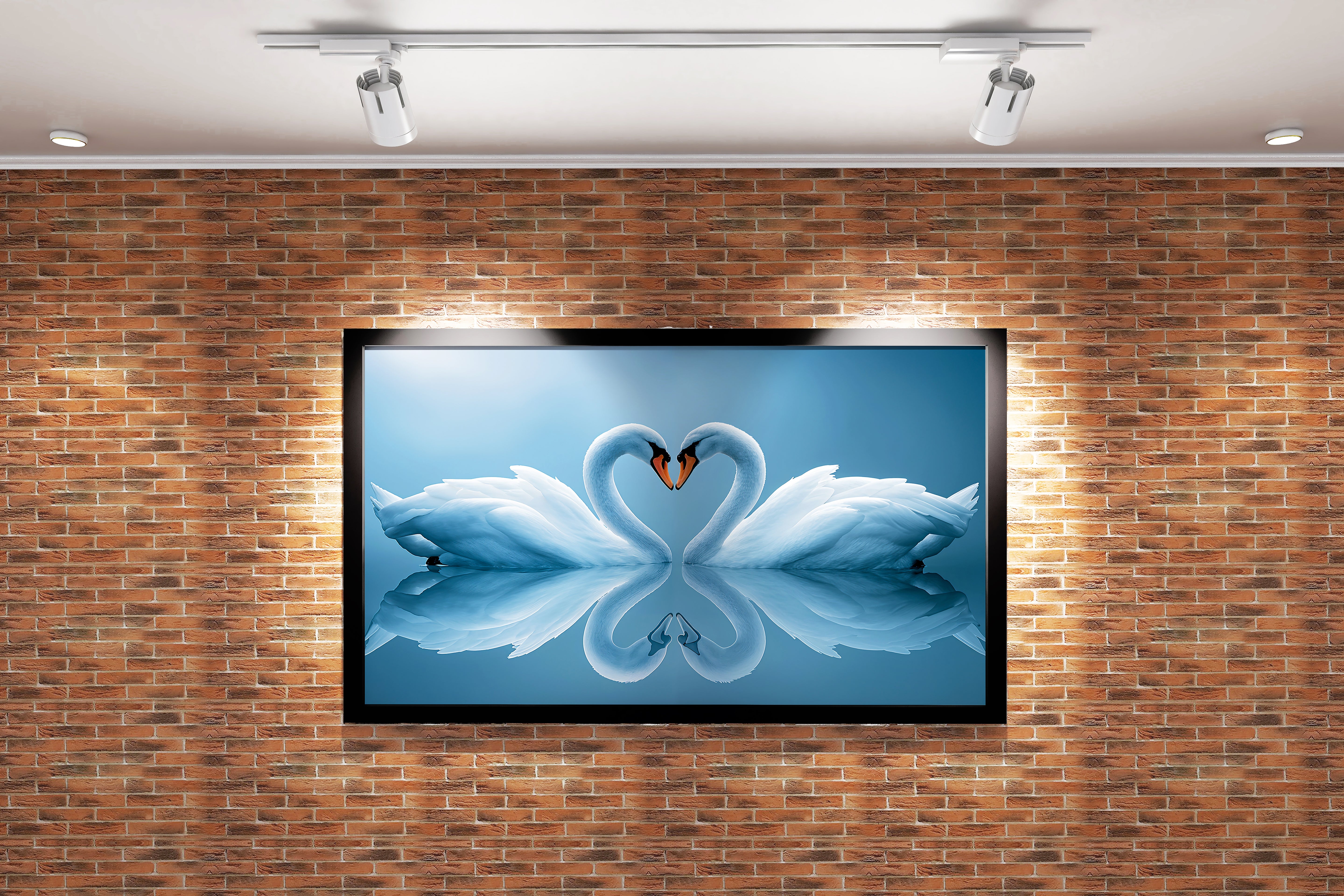 love swans, art, kanvas tablo