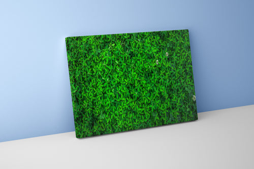 a top-down view of a dense carpet of vibrant green leaves and flowers, view, art, kanvas tablo