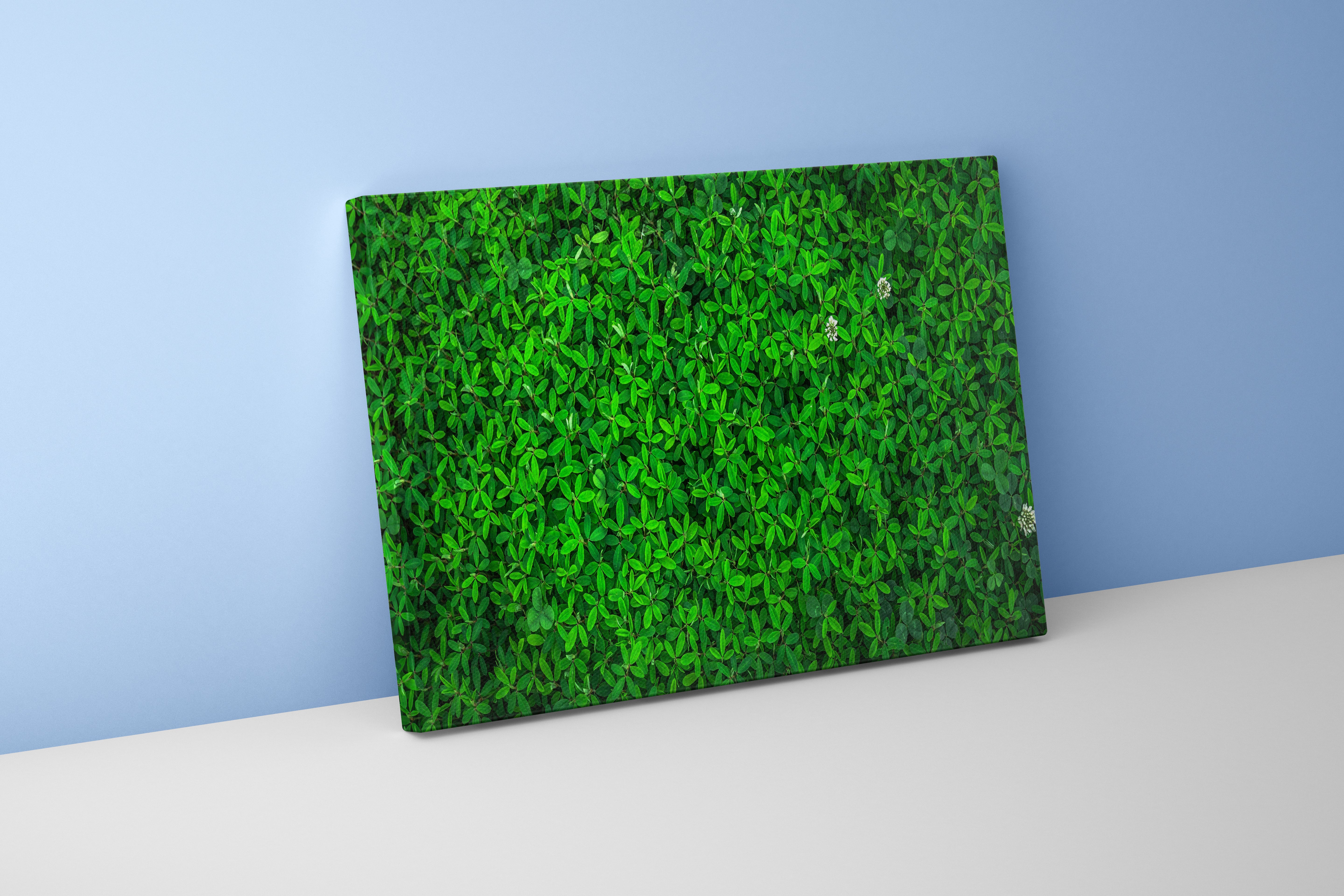 a top-down view of a dense carpet of vibrant green leaves and flowers, view, art, kanvas tablo