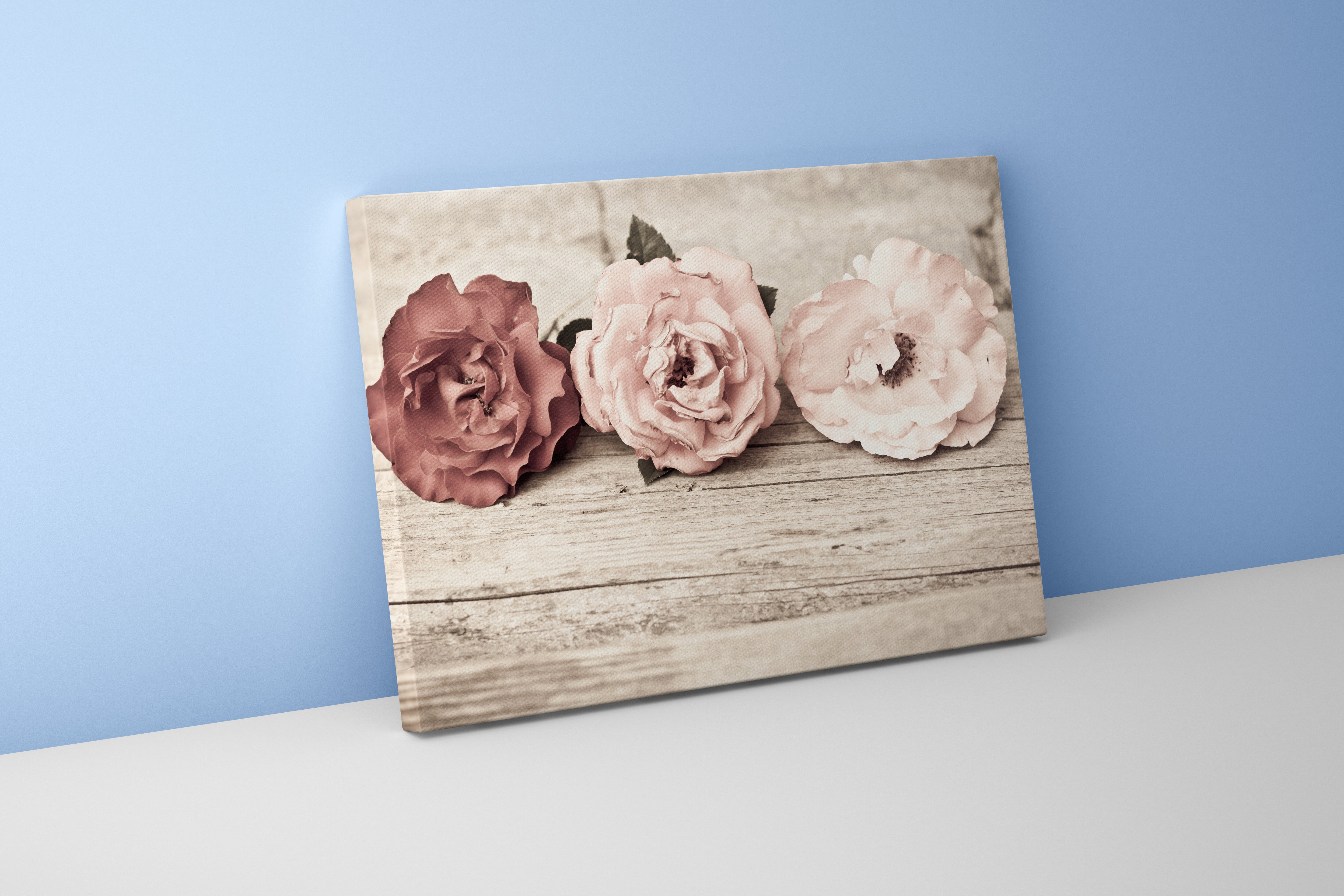 a vintage sepia photo of three roses lying on rustic weathered wood, flower motif, art, kanvas tablo