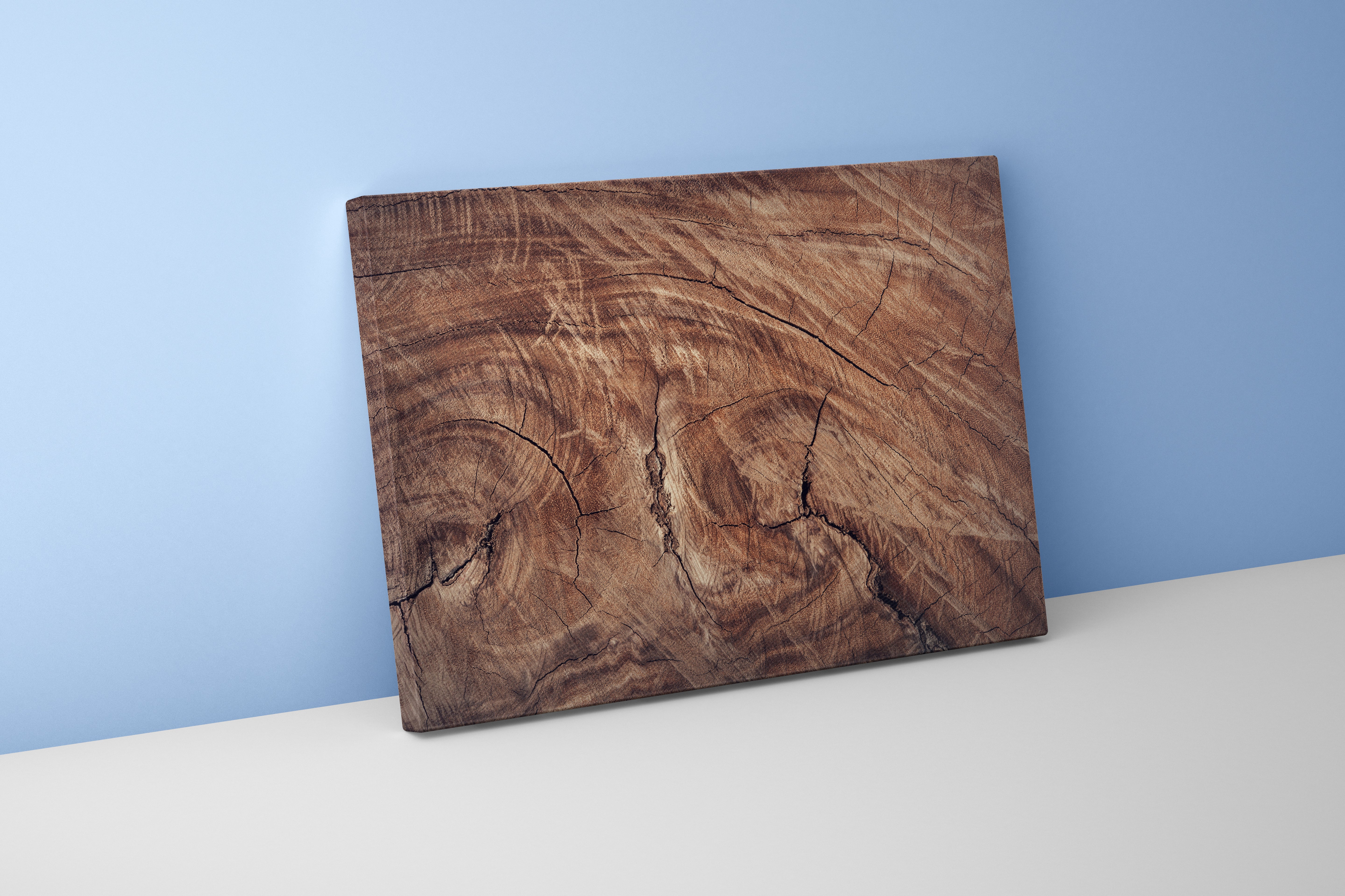a close-up texture shot of a cracked, weathered tree stump with wood grain, art, kanvas tablo