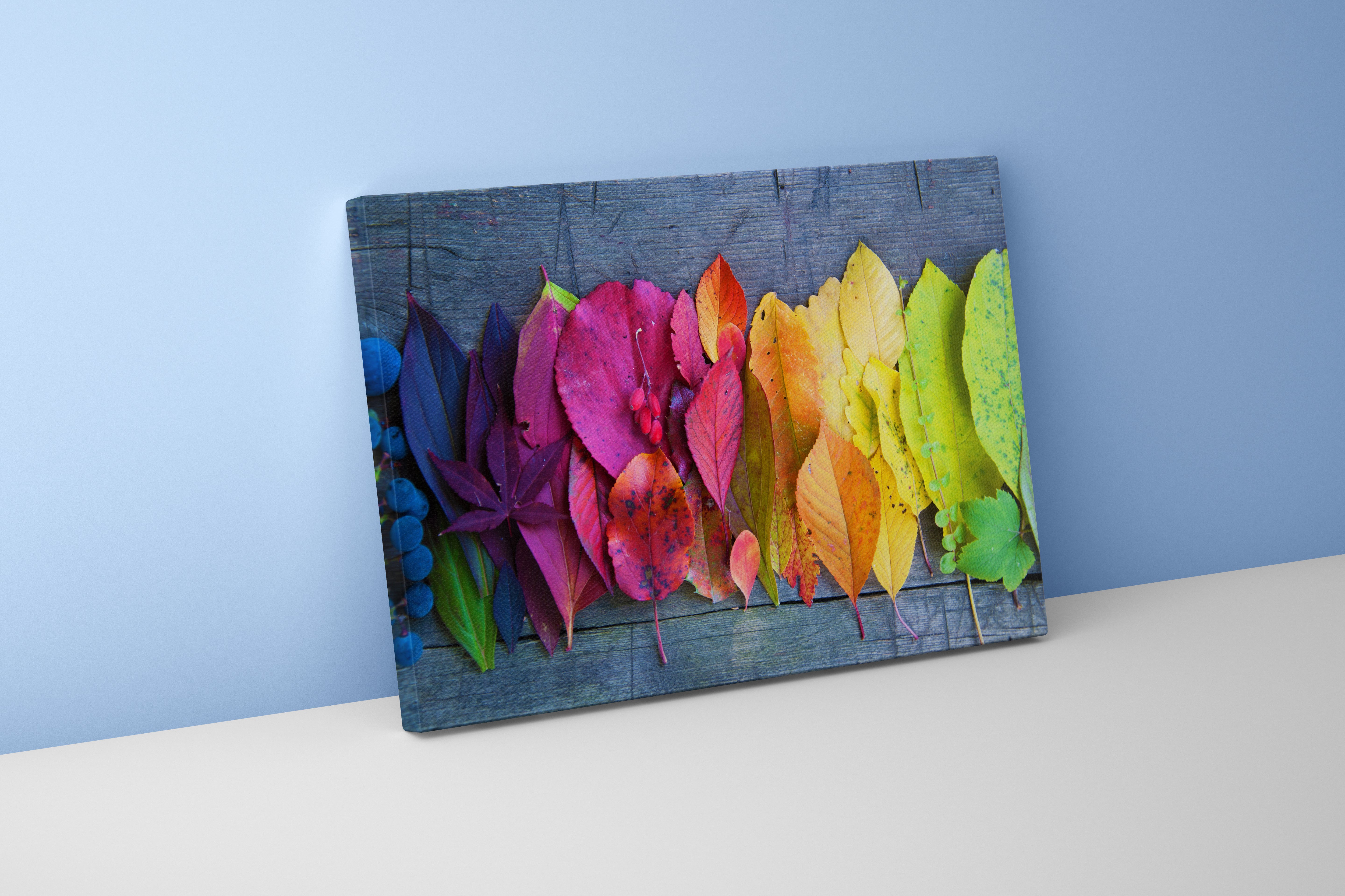 a beautiful rainbow gradient of colorful autumn leaves on a rustic wooden background, art, kanvas tablo